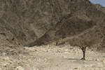 Wadi Netafim   
